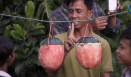 国外吃瓜爆料叫什么来着